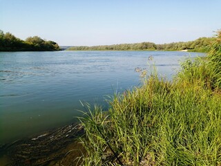 the river in the forest at summer