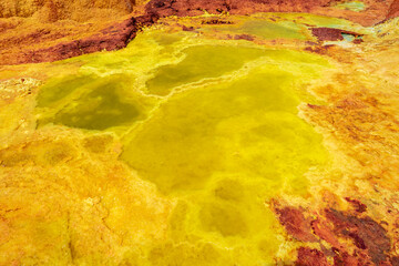 エチオピア・ダナキル砂漠ツアーで立ち寄った、ダロール火山に広がる極彩色の絶景