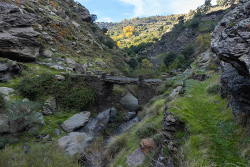 Path crossing a bridge with railings at the sides