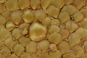 Numerous seashells were put on the wall in the background and painted in beautiful gold.
