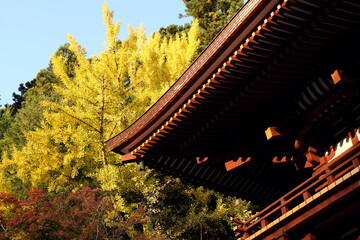 Fototapeta na wymiar 女人高野 室生寺 Woman koya Muroji Temple 