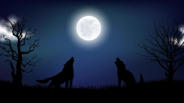 Wolves howling by looking up at moon and clouds passing by on the sky, Video animation, Motion graphics.