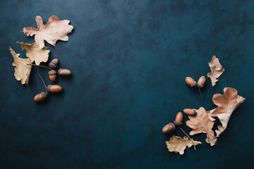 Autumn background, border made of dried oak leaves and acorns with copy space. Seasonal...