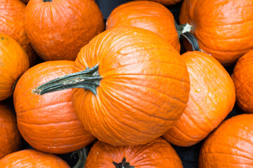 Marché aux citrouilles pour la fête d'halloween
