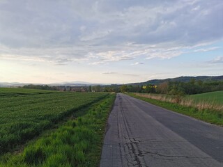 road in the field © Sandra