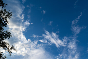 Fototapeta na wymiar Summer deep blue sky with beautiful clouds.