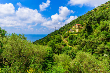 Hiking in beautiful landscape scenery between villages of Cinque Terre National Park at Coast of Italy. Province of La Spezia, Liguria, in the north of Italy - Travel destination for hiking