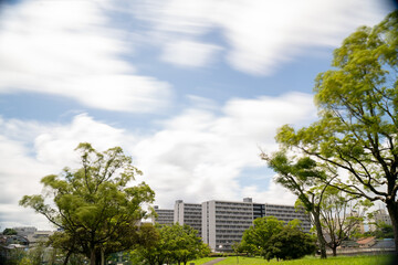 公園で撮った青空