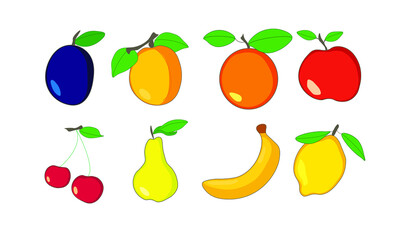 Vector set of isolated fruits on white background. 