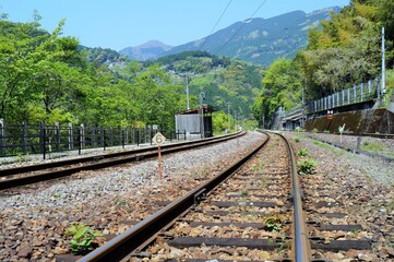 Fototapeta premium JR土讃線・大歩危駅