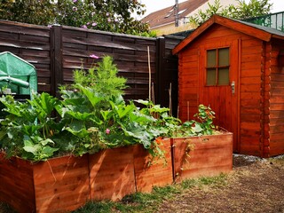 wooden house in the garden