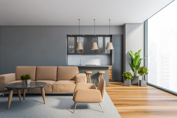 Grey living room and kitchen with sofa