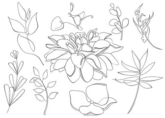 Line art stye set of flowers, leaves, branches. Isolated floral shapes on white background