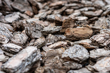 Finely chopped oak bark. Decorative design with bark. Close up