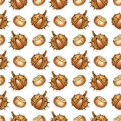 Watercolor autumn seamless pattern with open brown chestnuts. Botanical realistic background with hand drawn fall season forest plant for design poster, textile, card, wrapping paper, scrapbooking