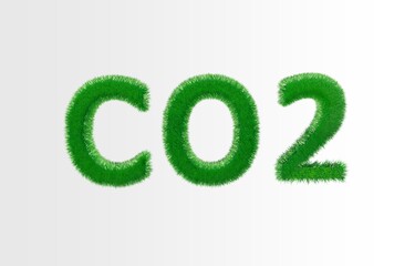 CO2 grass 3d letters isolated on white background. Ecoligical concept. 3d renfering