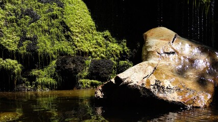 Dripping Moss and a Large Rock in a Waterfall Pool, Cape Overberg South Africa