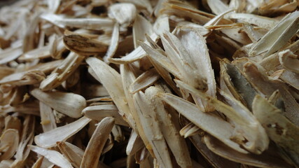 Empty shells of sunflower seeds trash closeup background