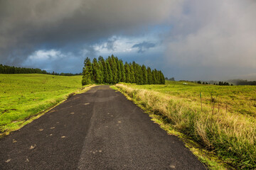 Fototapeta na wymiar road through green hills landscape on Sao Miguel island, Portugal