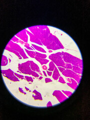 
medical drugs under the microscope