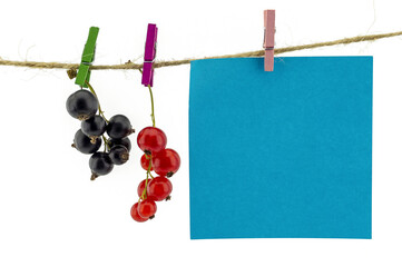 Fresh fruit hanging from clothes pegs on a rope