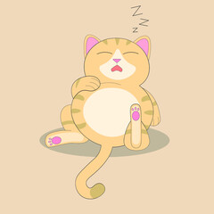 Gato dormido 