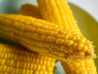 Sweet hot corn on white table