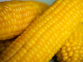 Sweet hot corn on white table