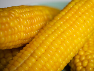Sweet hot corn on white table