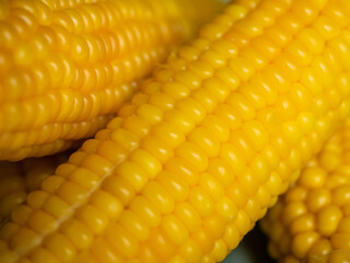 Sweet hot corn on white table