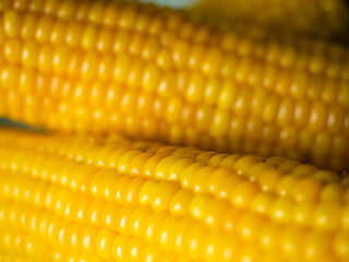 Sweet hot corn on white table