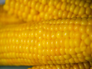 Sweet hot corn on white table