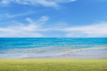 green grass and blue sky with clouds