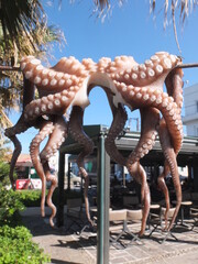 Trocknender Oktopus, Hafen Naxos 2013