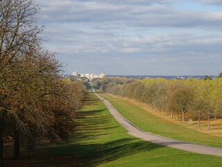 Fototapeta premium Road