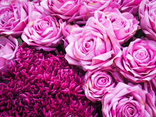 Beautiful pink flowers with roses for romantic and love background