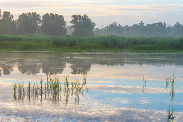 The edge of a foggy lake at sunrise in an early summer morning below a misty sky, Almere, Flevoland, The Netherlands, July 19, 2020