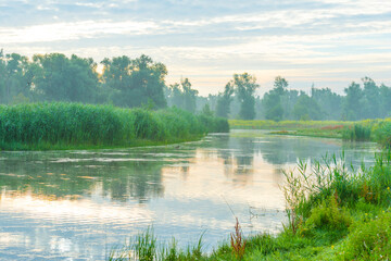 The edge of a foggy lake at sunrise in an early summer morning below a misty sky, Almere, Flevoland, The Netherlands, July 19, 2020