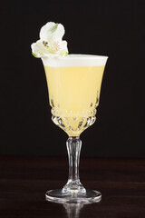 alcoholic cocktail for the menu bar or restaurant