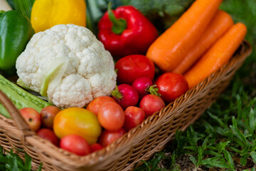 Vegetables basket on grass background
