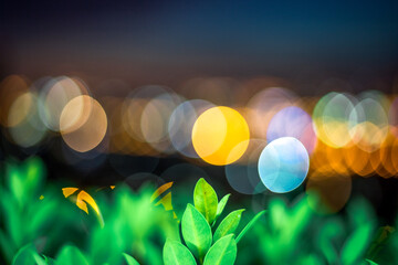 abstract background of the green leaves in the park,with the blur of bokeh,the light from the...