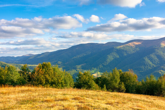 autumn landscape in evening light. trees and grass on the hillsside meadow. rural valley and mountain ridge in the distance beneath a blue sky with clouds