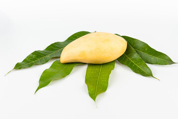 Delicious ripe mango with on white background