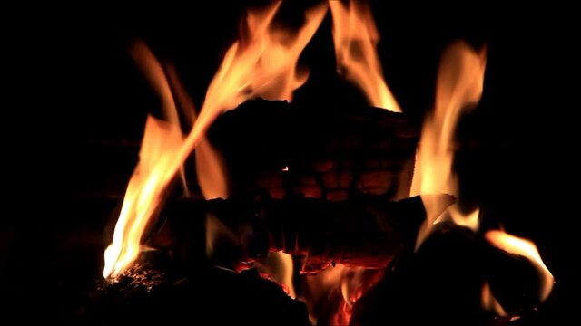Burning firewood, fire background, flame
