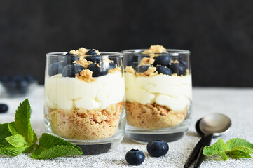 Cheesecake with blueberries in a glass on a concrete background. Cheesecake without baking. Dessert. New York.