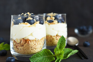 Cheesecake with blueberries in a glass on a dark, concrete background. Cheesecake without baking. Dessert. New York.