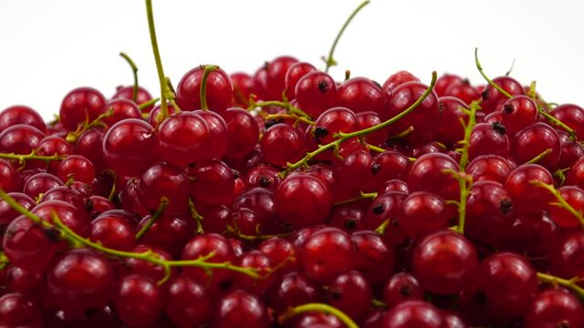 Ripe fresh redcurrant berries against the white background