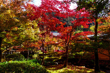 Eikando ( 永観堂 ) Zenrin-ji Temple in Kyoto. Red, orange, yellow, and green leaves. Kyoto, Japan, November 11, 2017