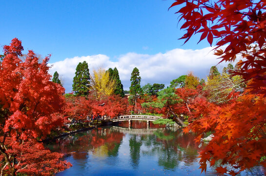 Eikando ( 永観堂 ) Zenrin-ji Temple in Kyoto. The pond and the bridge is surrounded by autumn leaves. Kyoto, Japan, November 11, 2017