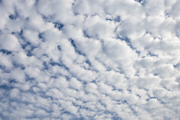 Obraz premium Blue sky with cloud